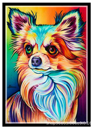 Color dog