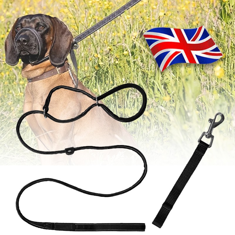 Figure Of 8 Dog Lead With Soft Comfy Padded Loop Handle And Nose Pads