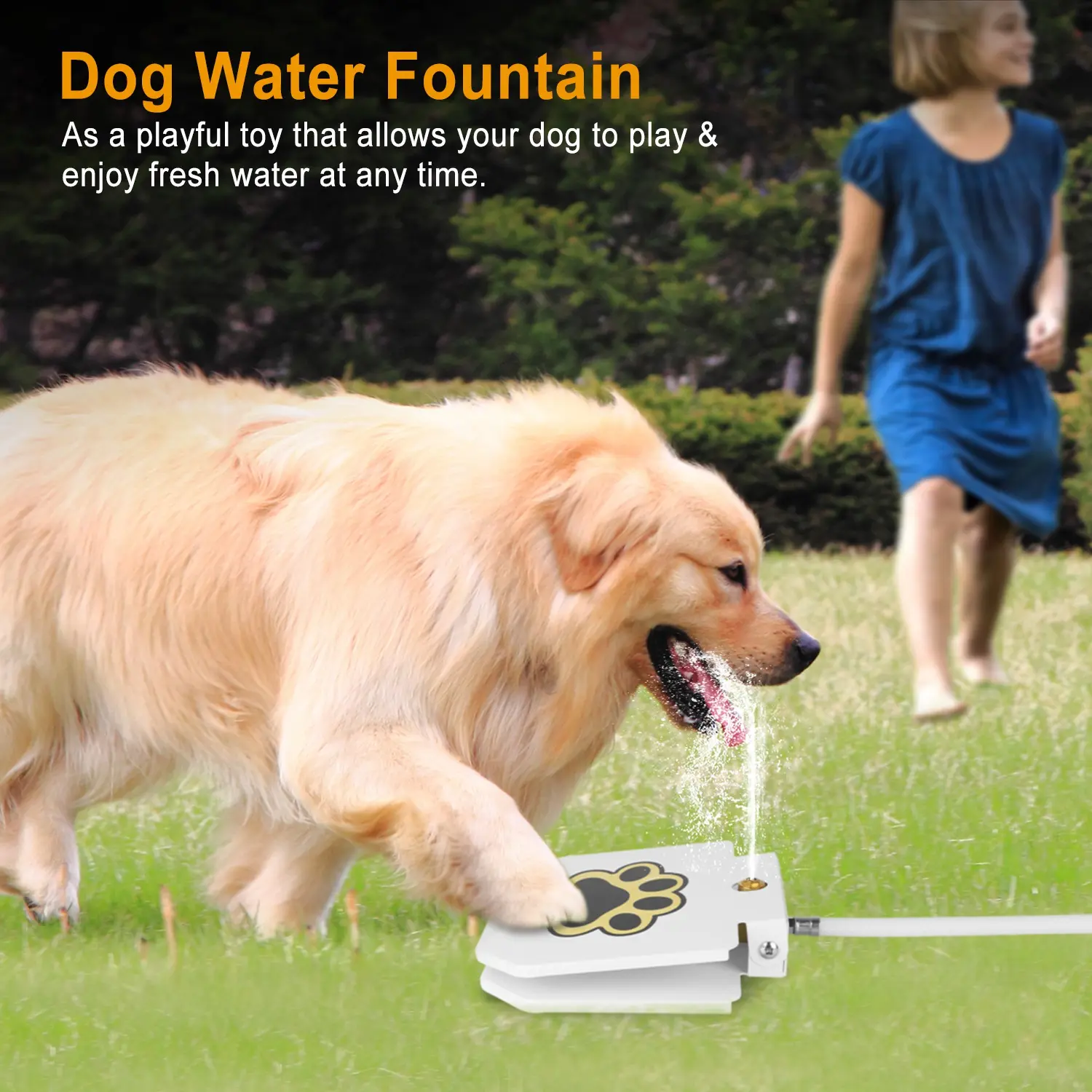 Dog Water Fountain Outdoor Pet Dispenser Step-on