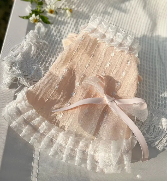 Chiffon Lace Bow Princess Dress Pet Pink - Shop at LoveMi