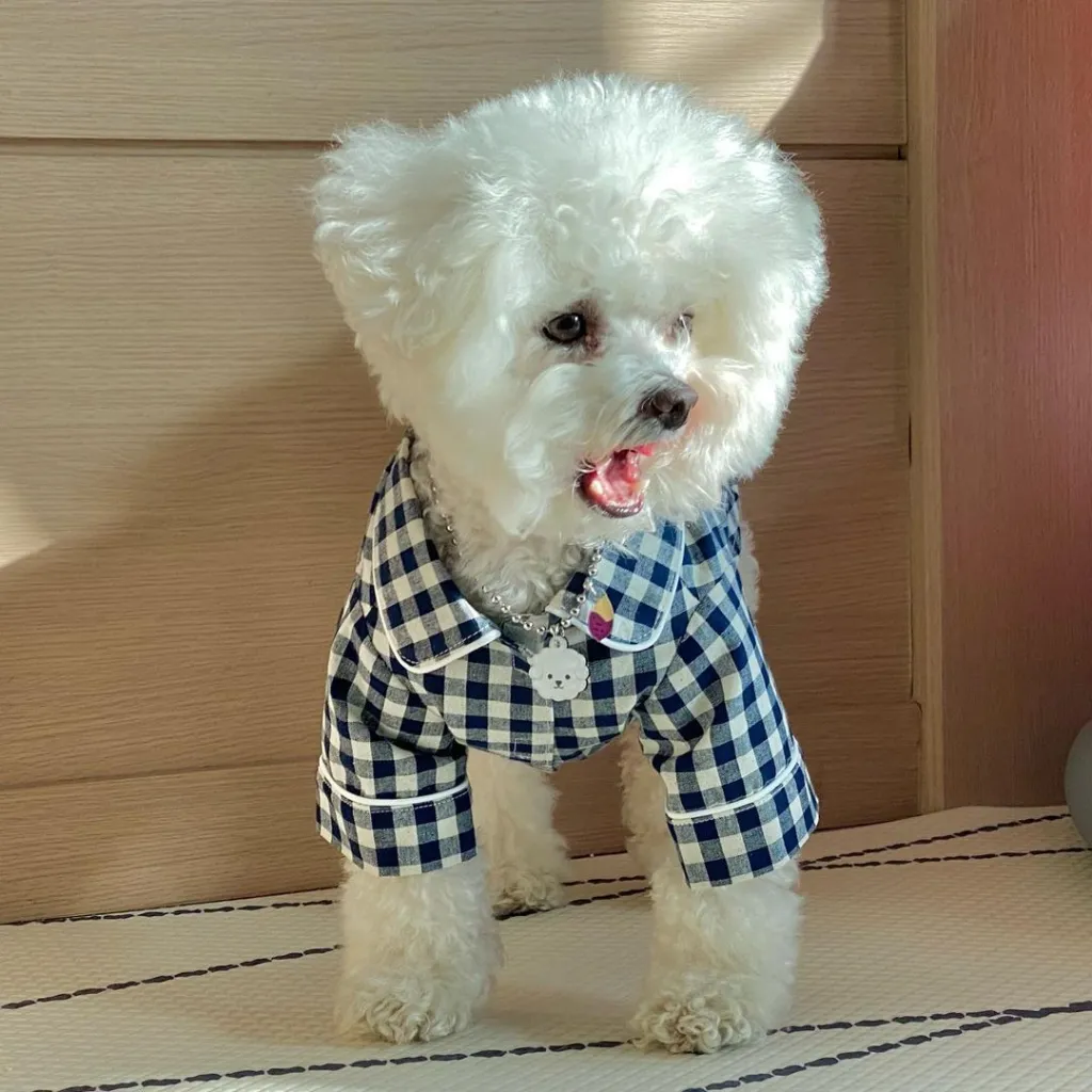 Korea Plaid Khaki Blue Pocket Pyjamas For Dogs - Navy Blue