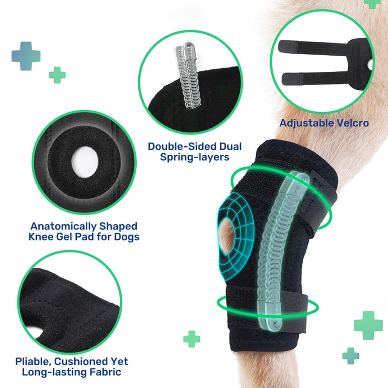 Pet Dog Leg Guard Joint Knee Pads ACL Ligament Tear Protection Assisted Rehabilitation Cat Joint 1pcs