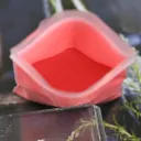 1Color