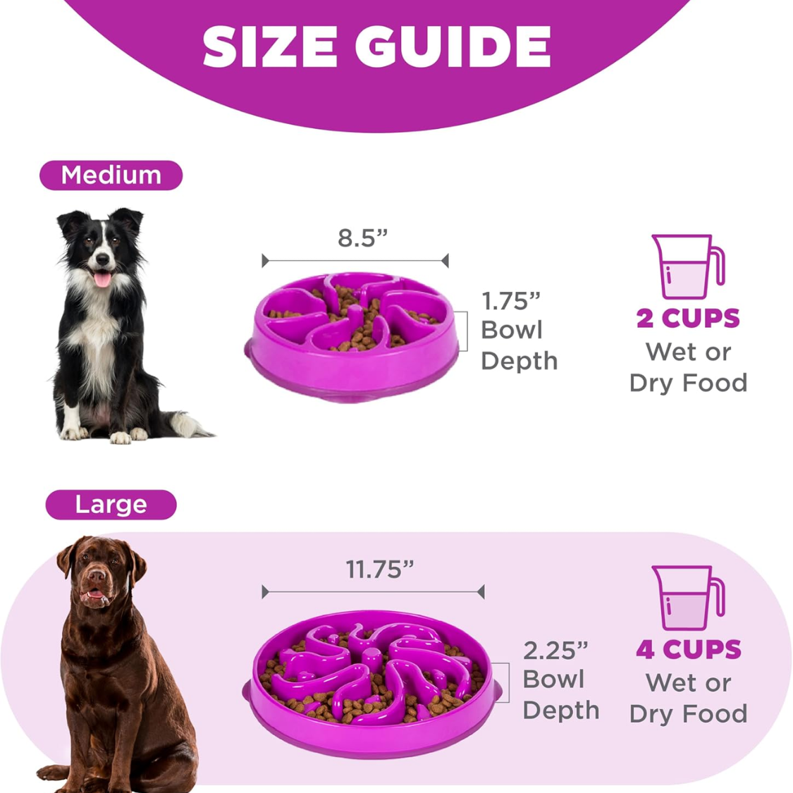 Hound Feeder Slo Bowl  Large 4 Cup Capacity, Slow Feeding, Medium To Large Dogs, Non Slip, Purple, Flower Pattern — foto 7