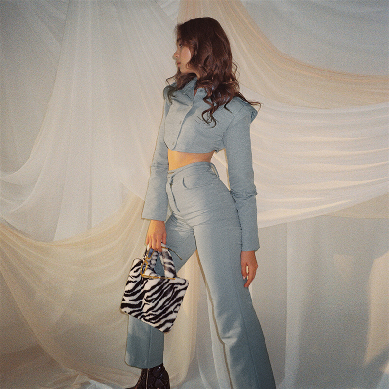 Women's Fashion Long-sleeved Single-breasted Short High-waist Straight-leg Pants Suit Women