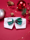 Green Bow Tie