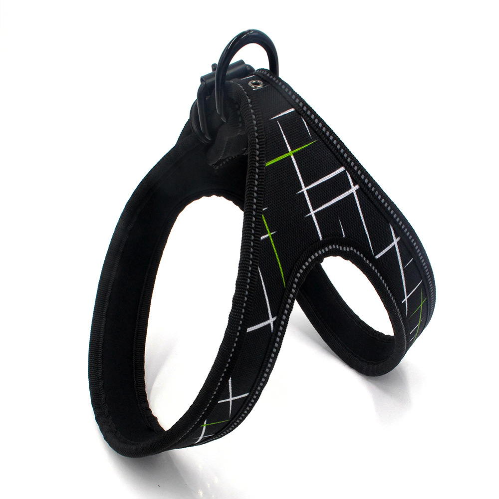 Black line webbing leash