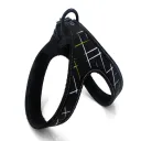Black Line Webbing Leash