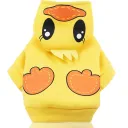 Yellow Duck