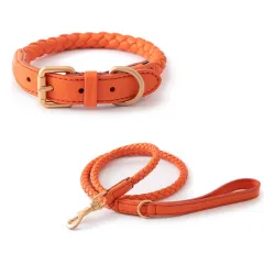 High-end Large Dog Collar Sturdy Netflix Ke Foundation Hair Pet - Amber Orange Set - View 1