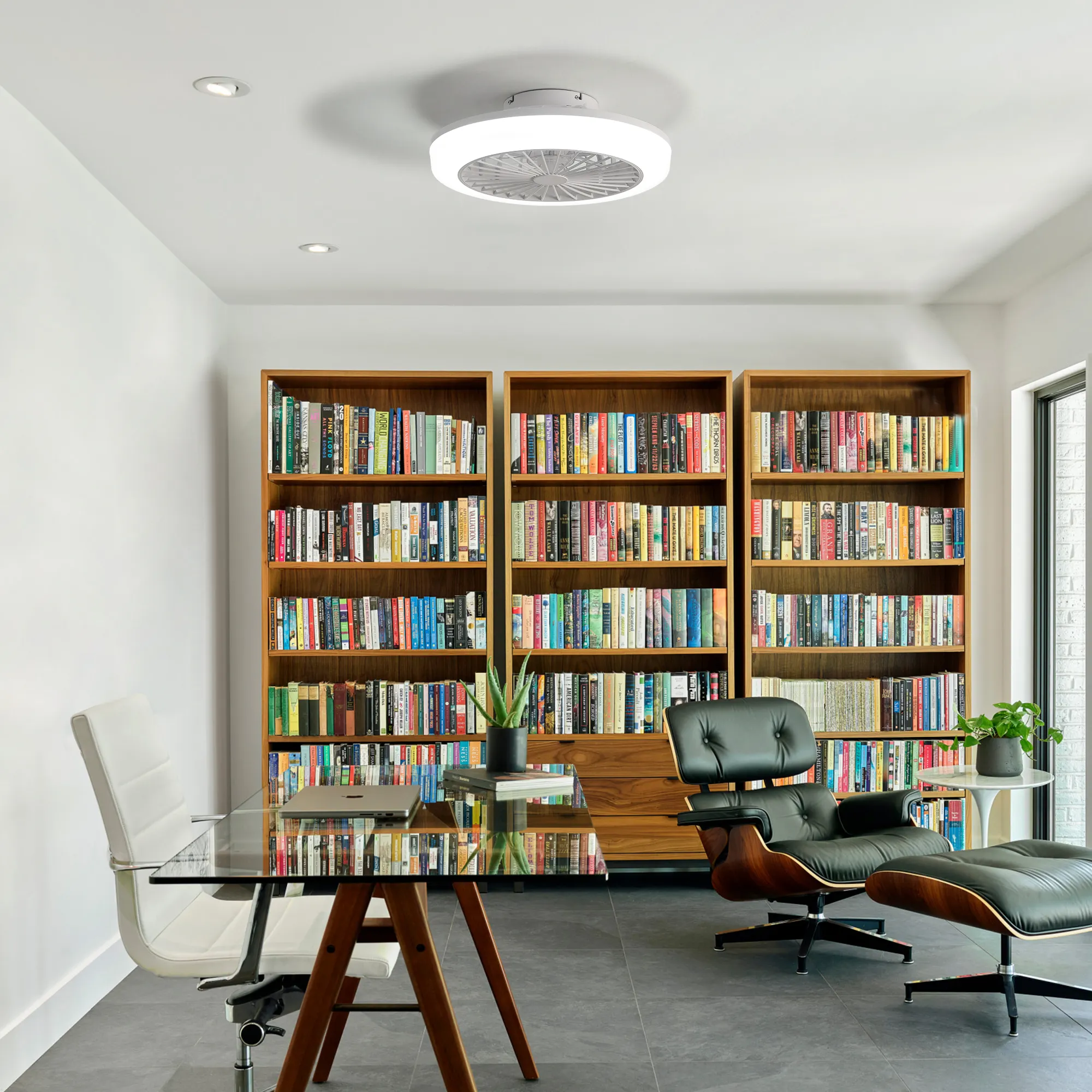 18 Inch Enclosed Ceiling Fan