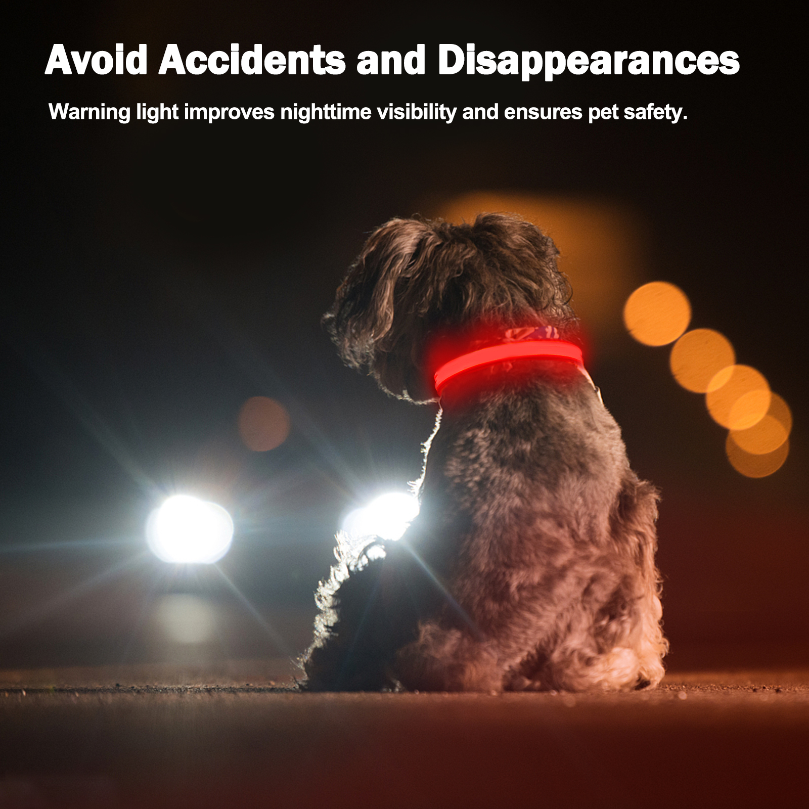 Light Up Dog Collar - Lights For The Dark Night, Adjustable Flashing — image 7