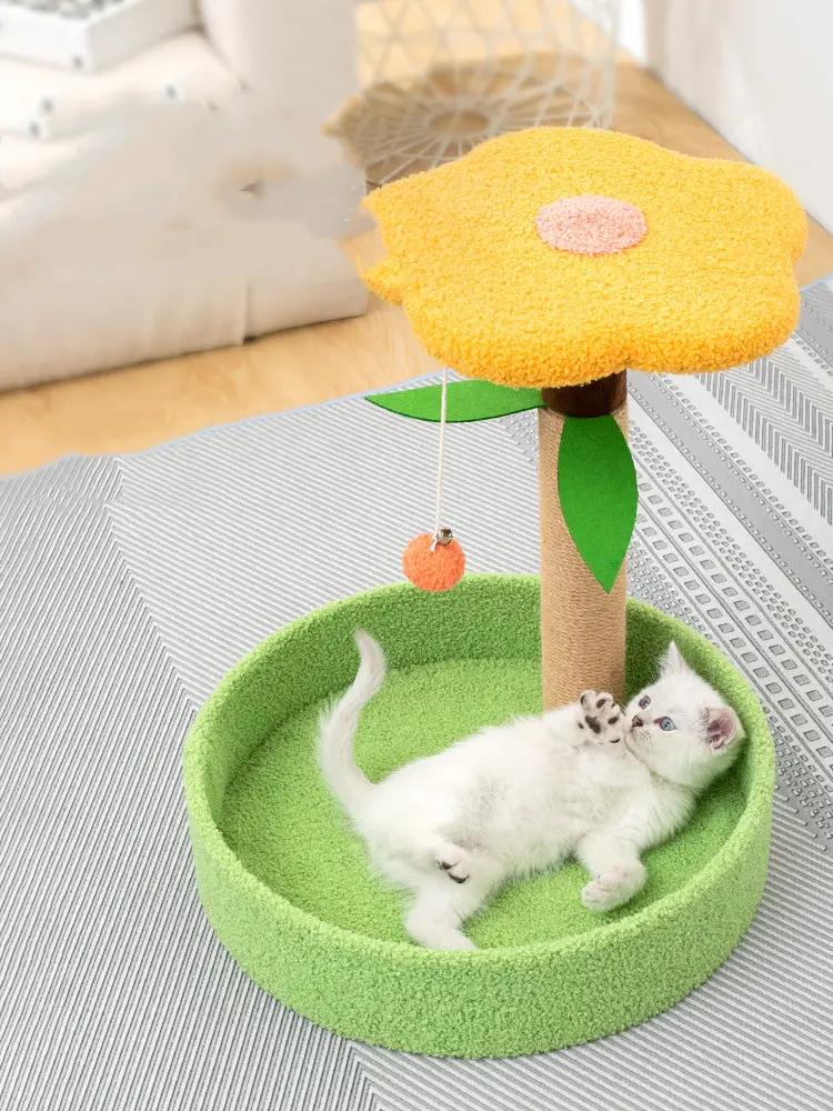 Grinding Claws and Teasing Cat Toys