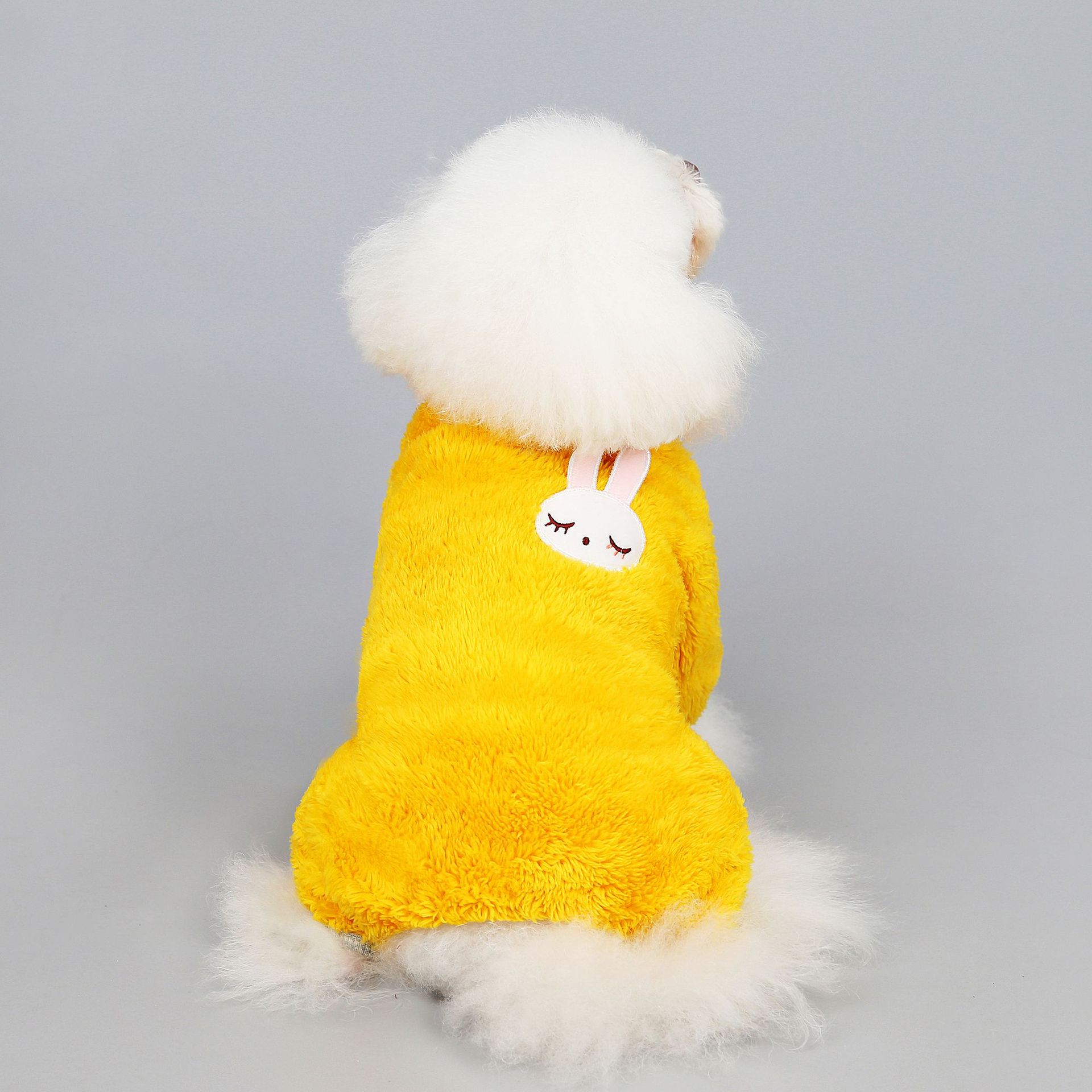 Rabbit yellow