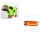 Green With Orange
