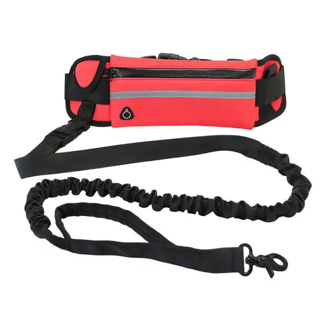 Pet Purse Leash For Dog Walking Red - Shop at LoveMi