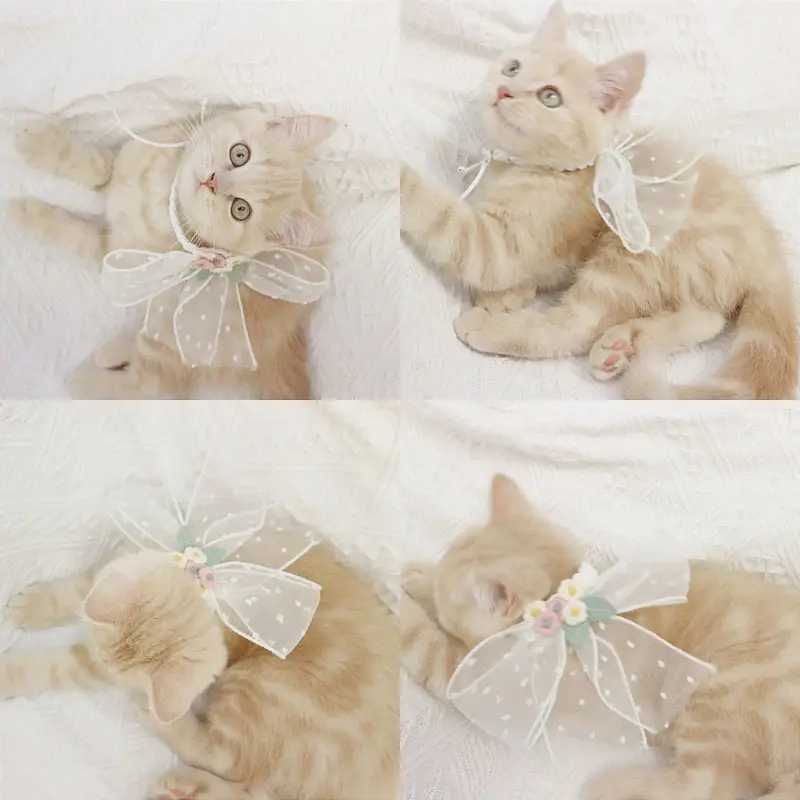 Pet Original Small Dog Necklace Bow Jewelry