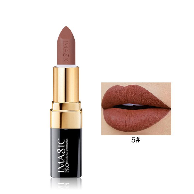 Long Lasting Color And Not Easy To Fade Velvet Lipstick 5 Style - Shop at LoveMi