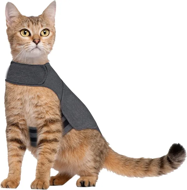 Pet Dog Clothing Cat Vest Summer Dark Gray - Shop at LoveMi
