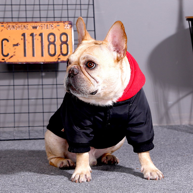 Big Dog Clothes Labrador Golden Retriever Medium