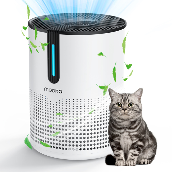 Amazon et TEMU interdits, pas de commandes le week-end. MOOKA – purificateur d'air – Image 3