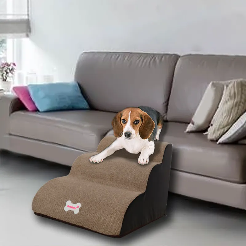 Small Dog Teddy On The Sofa