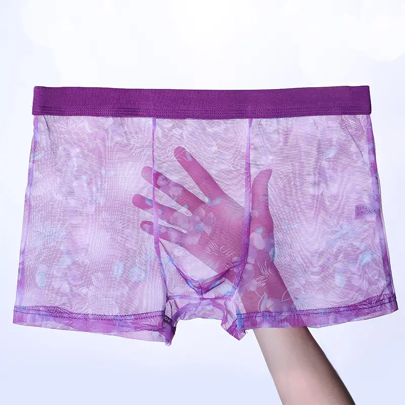 Men's Underwear  Thin Mesh Transparent Blcak