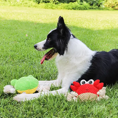Interactive Dog Chewing Rope Tug of War Pet Plush