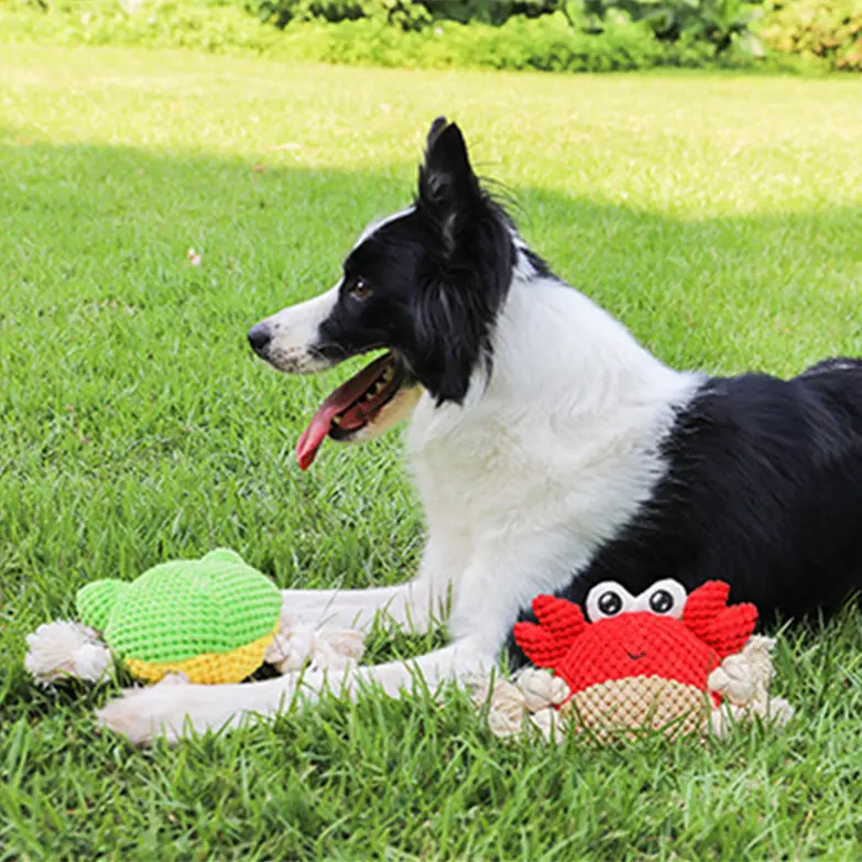 Interactive Dog Chewing Rope Tug of War Pet Plush
