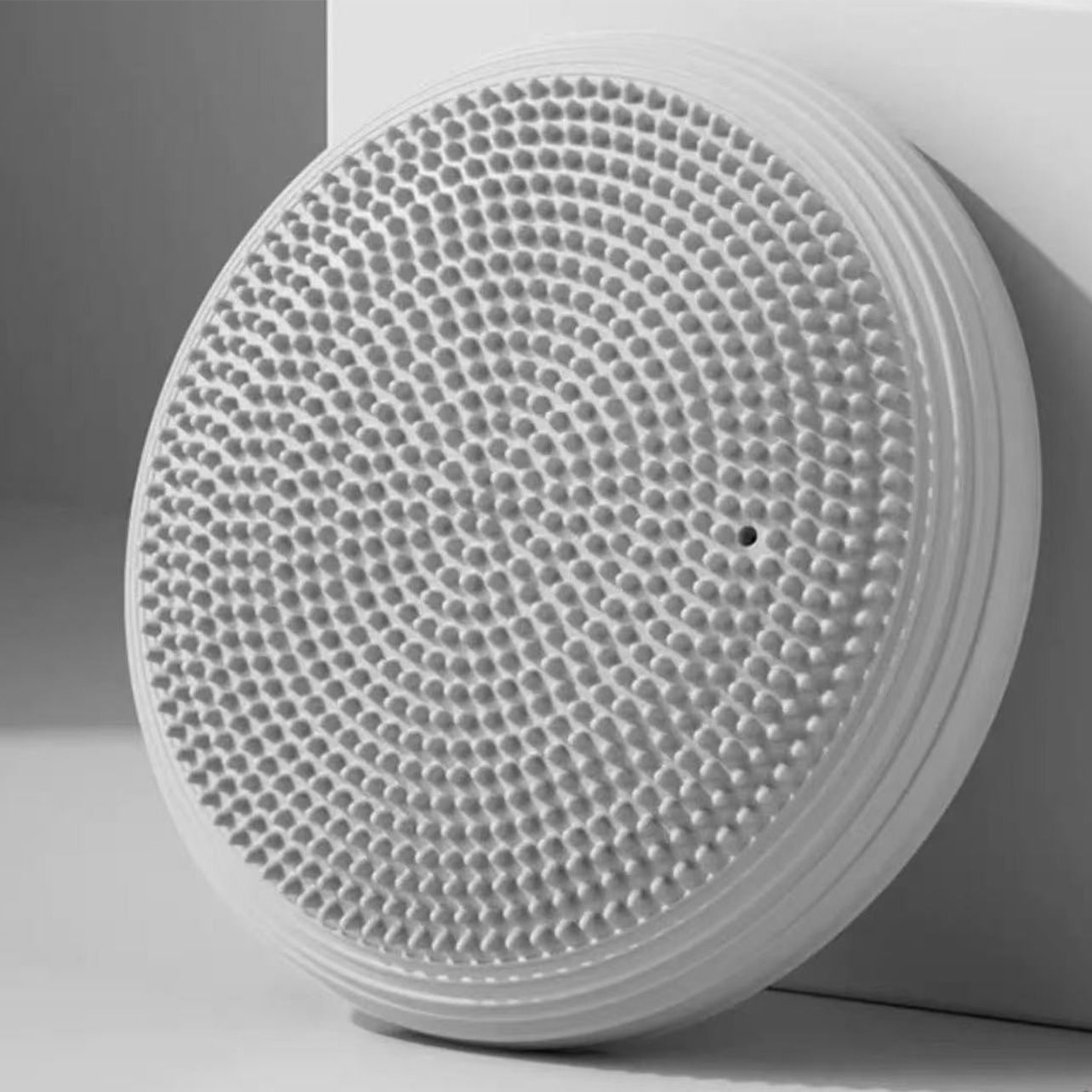 Dual-Sided PVC Balance Disc and Wobble Cushion