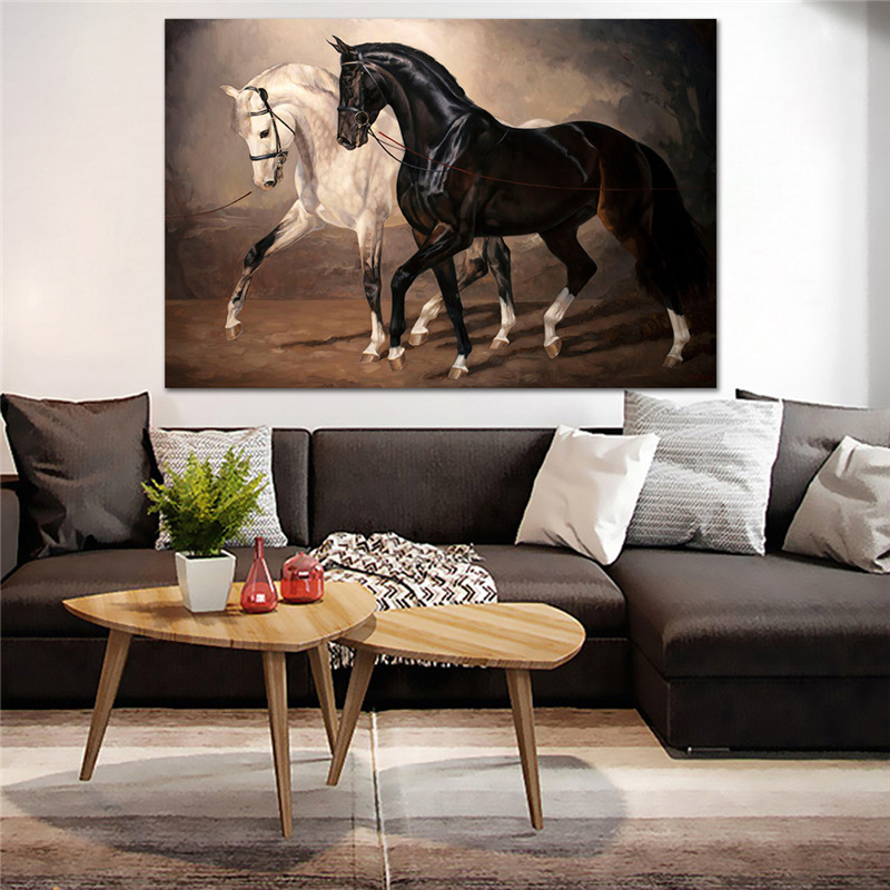 Black and white horse