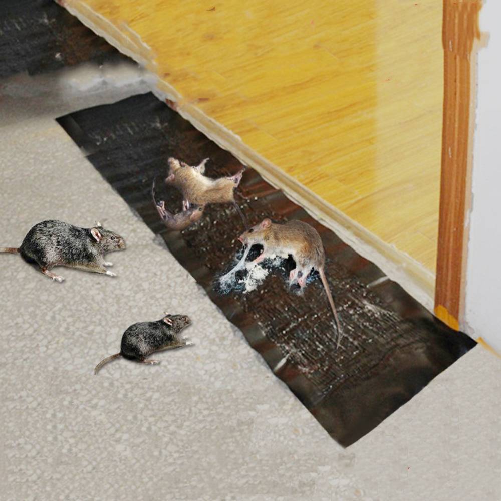 Mouse Traps Rat Mice Trap Board Snare Catcher Pad Pest Control 356PCS — image 4