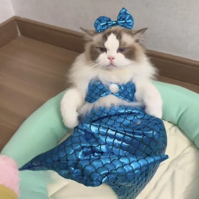 Cat Mermaid Costume Creative Cat And Dog Costumes Funny Cat Mermaid Costume Cat Mermaid Fishtail Dress Puppy Mermaid Fishtail Dress Pet Mermaid Cos... Pink - Shop at LoveMi