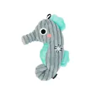 Hippocampus