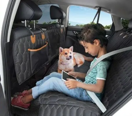 Machine Washable Three-in-one Multifunctional Cat And Dog