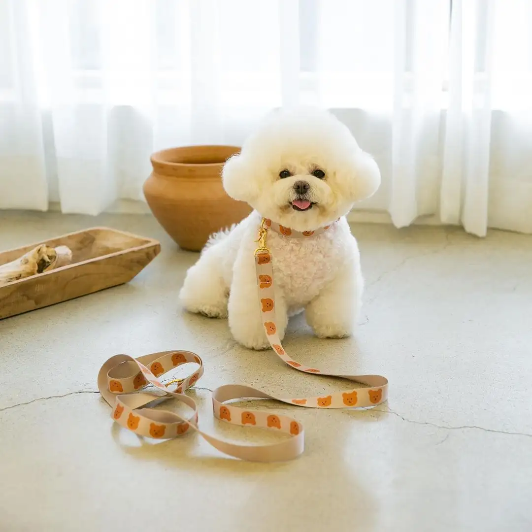 New Dog Pet Bear Cute Traction Soft And Durable Rope