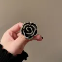 Paint Black