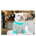 Blue Peach Heart Sweater