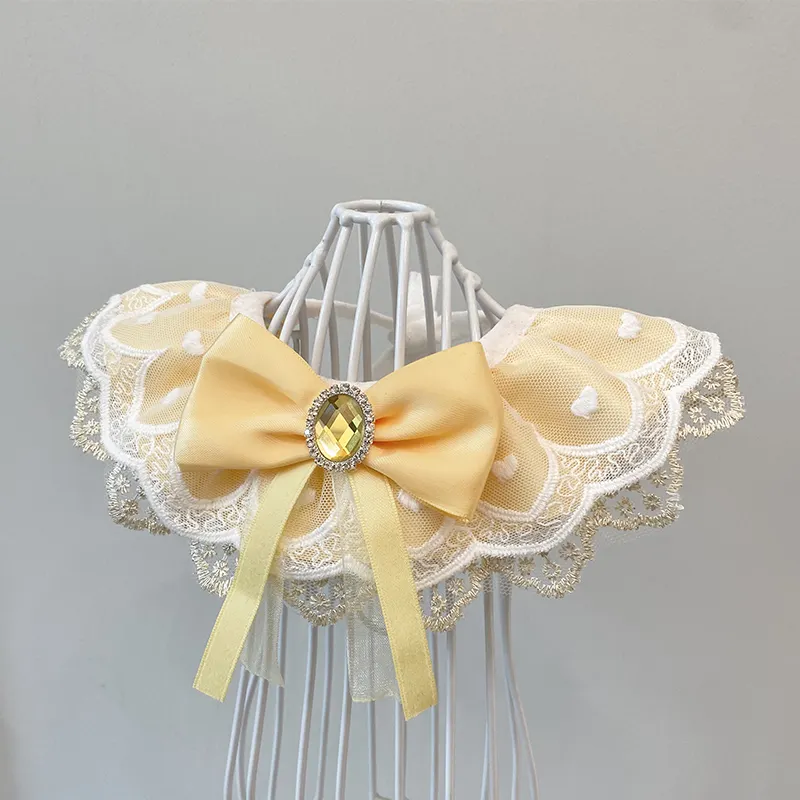 Cat And Dog Lace Bib Shooting Prop