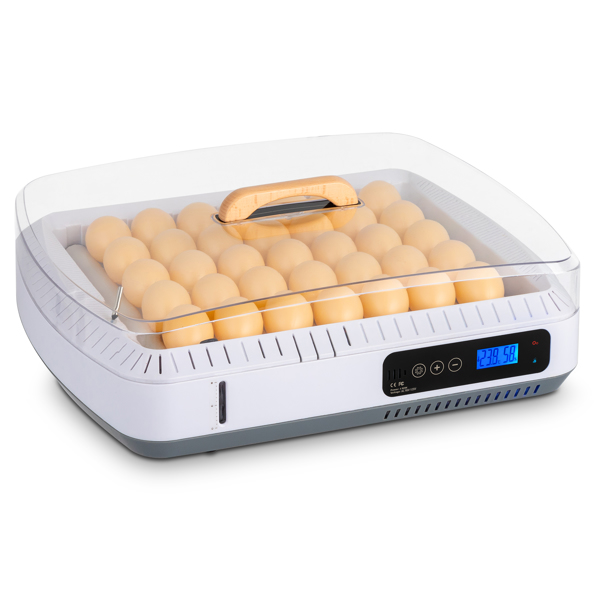 American Standard Incubator, Automatic Temperature Control And Wet Flipping Of E