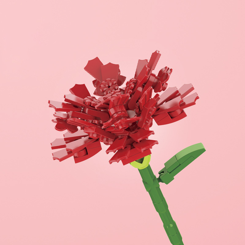 Carnation