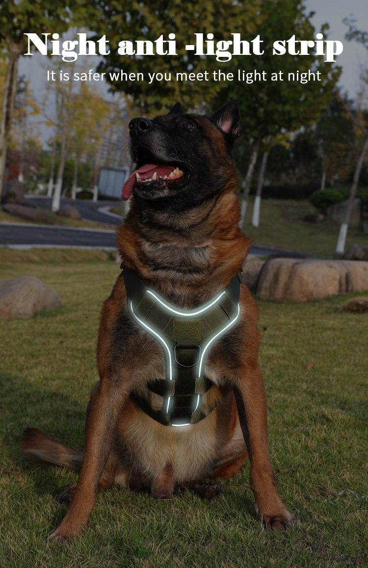 Ergonomic K9 dog harness with military-grade durability, designed for large dog breeds.