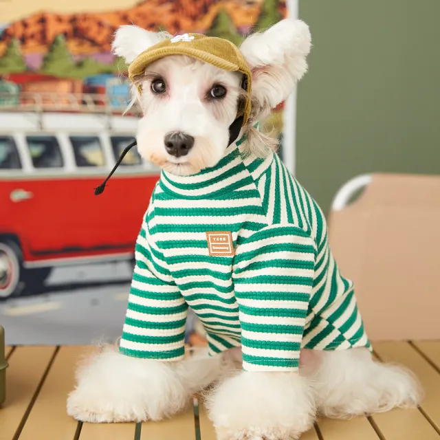 Cat's Two piece Striped High neck Bottom Shirt Green - Shop at LoveMi