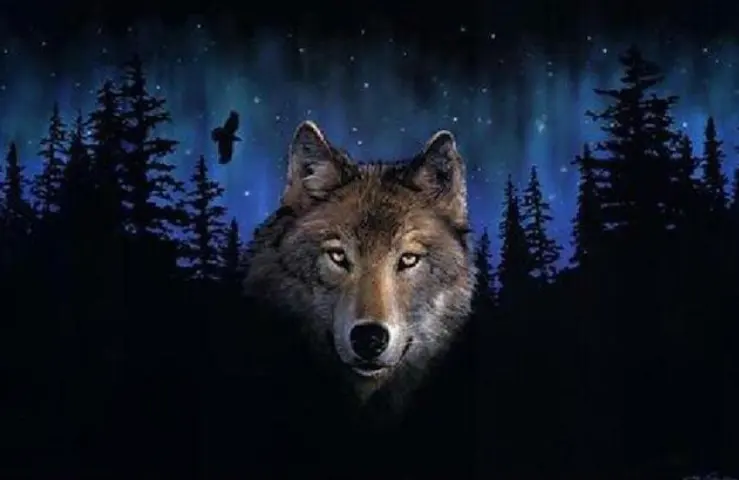 Digital Oil Painting, Coloring Frameless Painting