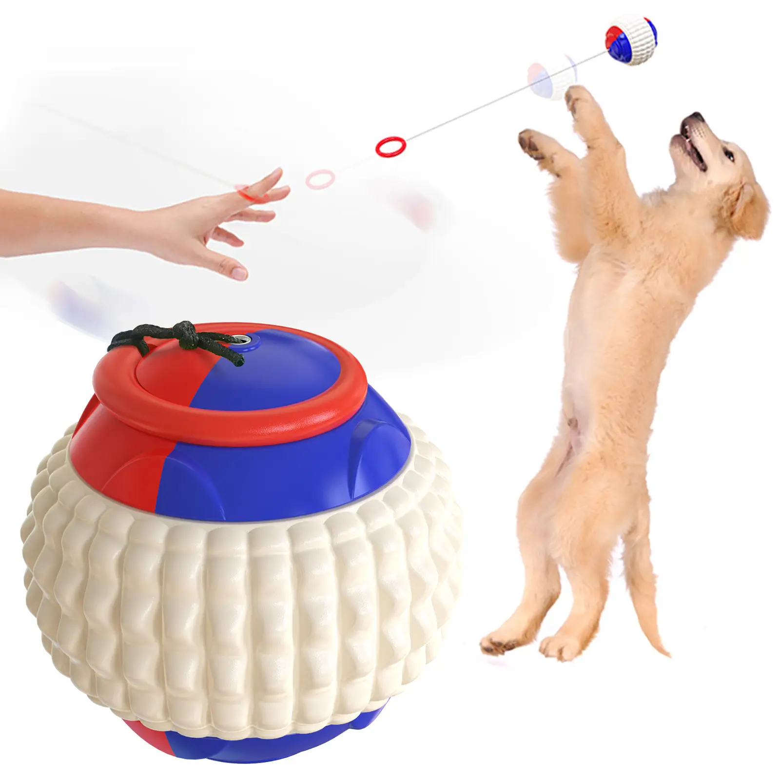 Biting A Dog  Training Golfers Throwing And Throwing Toy Balls