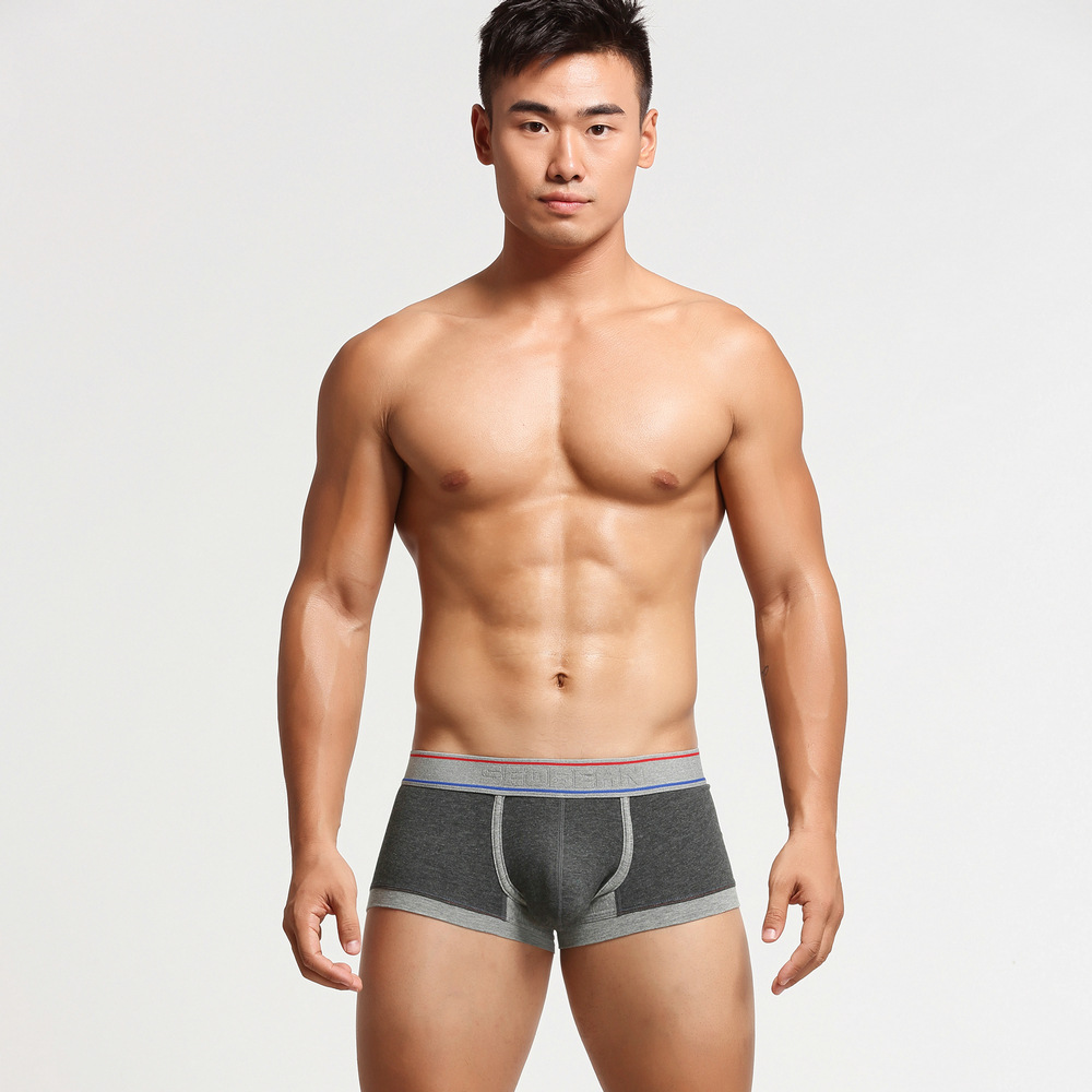 Title 20, Boxer en coton pour homme grande taille. Sous-v...