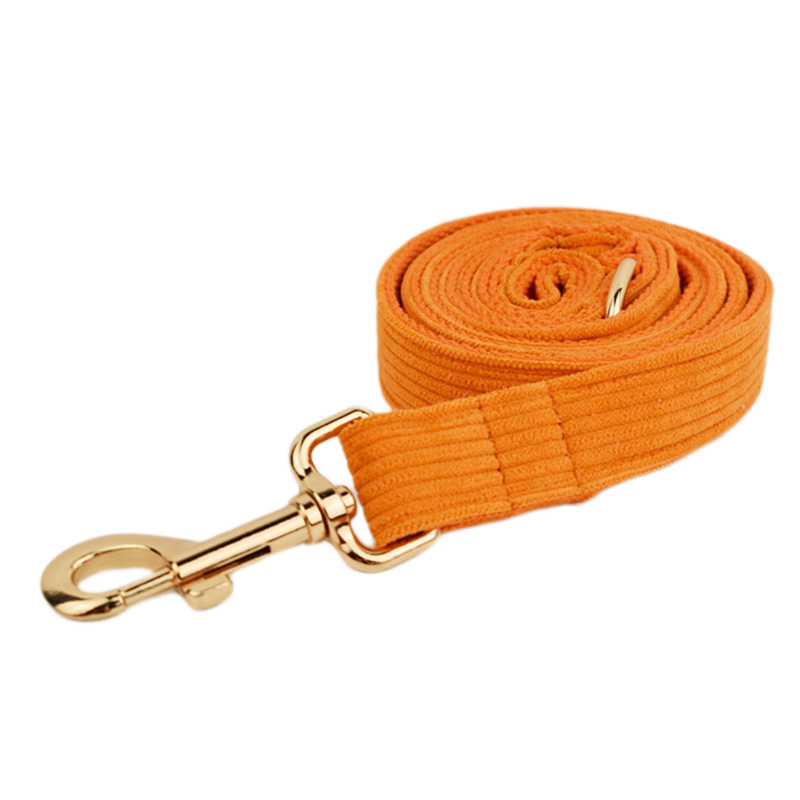 Dog leash1