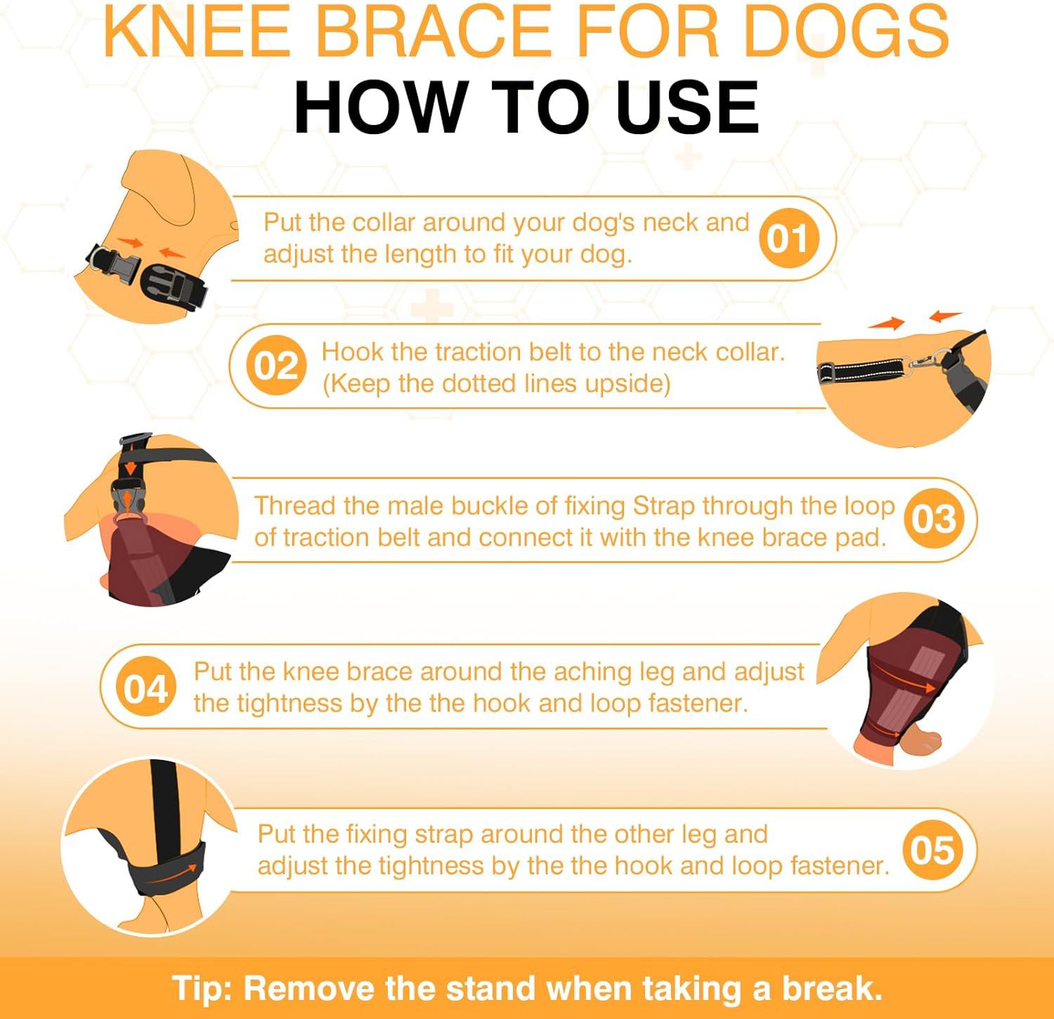 Dog Knee Brace -- Joint Protection