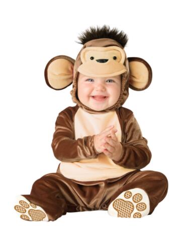 Baby monkey