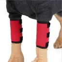 Foot Protector Red